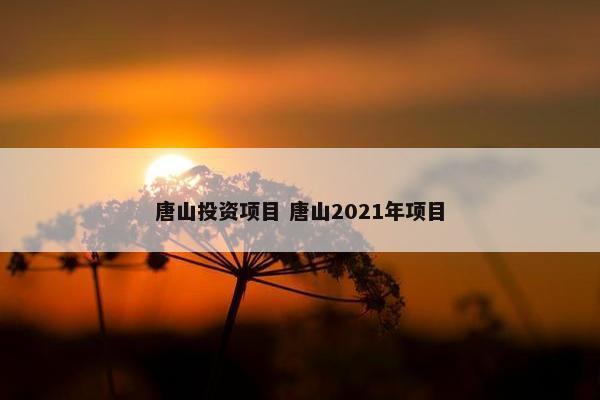 唐山投资项目 唐山2021年项目