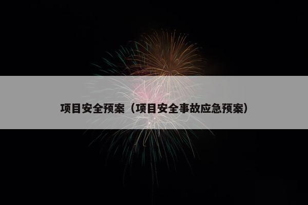 项目安全预案（项目安全事故应急预案）