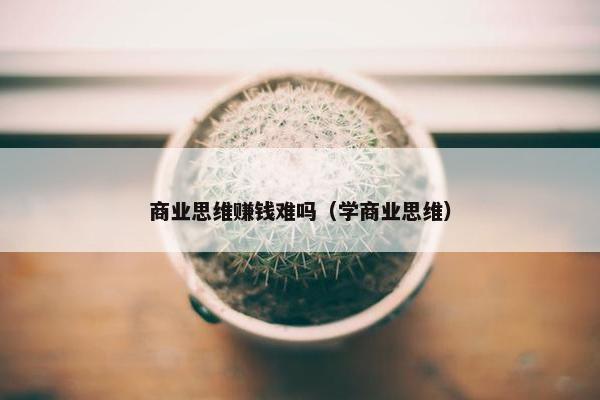 商业思维赚钱难吗（学商业思维）