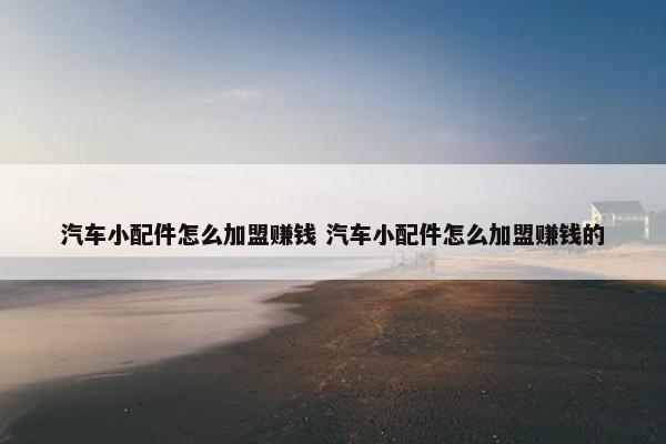 汽车小配件怎么加盟赚钱 汽车小配件怎么加盟赚钱的