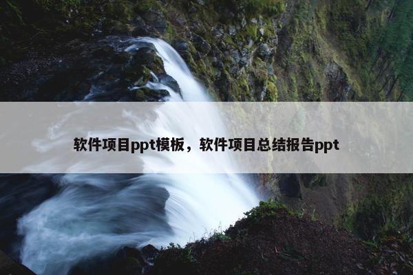 软件项目ppt模板，软件项目总结报告ppt