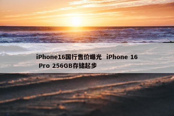 iPhone16国行售价曝光  iPhone 16 Pro 256GB存储起步