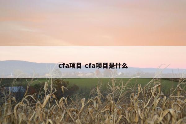 cfa项目 cfa项目是什么