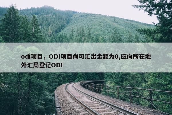 odi项目，ODI项目尚可汇出金额为0,应向所在地外汇局登记ODI