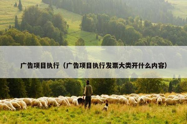 广告项目执行（广告项目执行发票大类开什么内容）