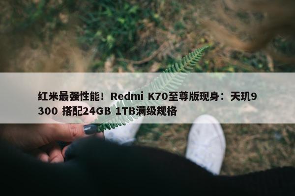 红米最强性能！Redmi K70至尊版现身：天玑9300 搭配24GB 1TB满级规格