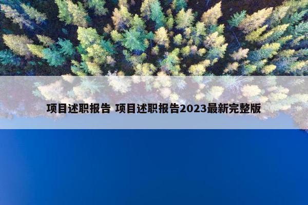 项目述职报告 项目述职报告2023最新完整版