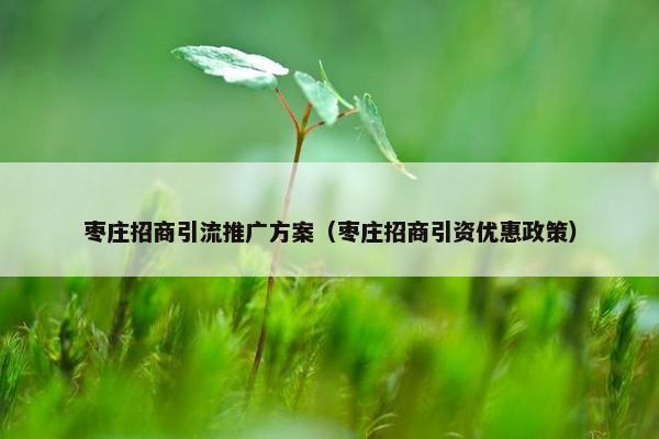 枣庄招商引流推广方案（枣庄招商引资优惠政策）