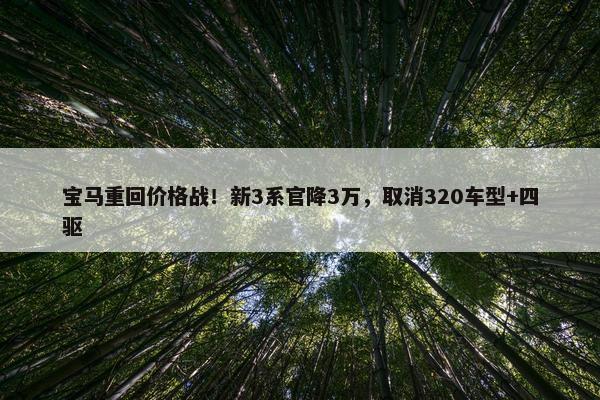 宝马重回价格战！新3系官降3万，取消320车型+四驱