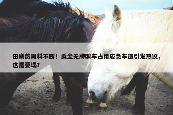 田曦薇黑料不断！乘坐无牌照车占用应急车道引发热议，这是要塌？