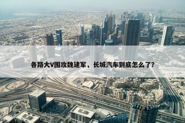 各路大V围攻魏建军，长城汽车到底怎么了？