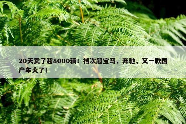 20天卖了超8000辆！档次超宝马，奔驰，又一款国产车火了！